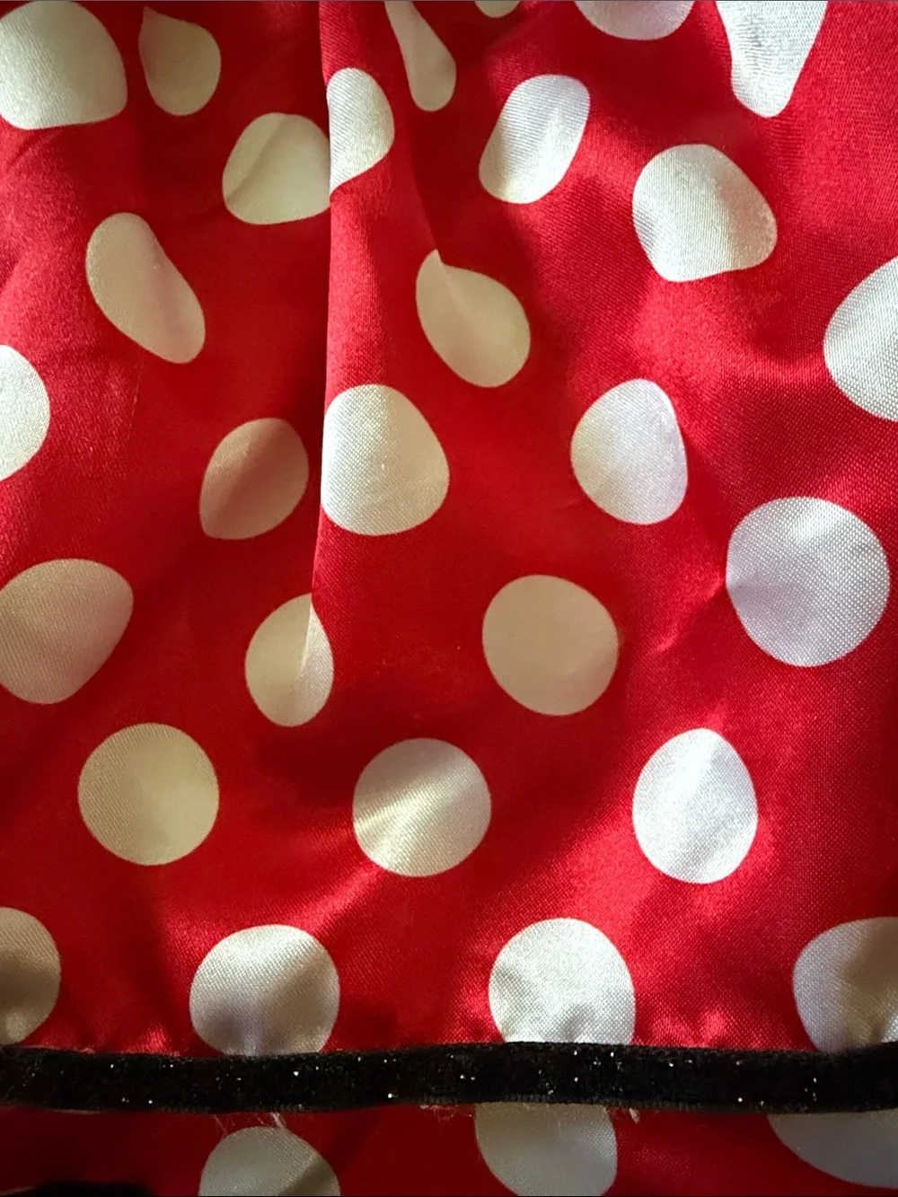 Disney themed polka